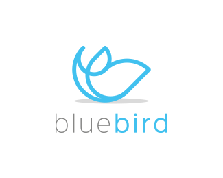 bluebird知更鸟标志设计